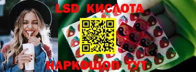 СК Бузулук