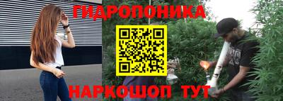 Альфа ПВП Будённовск