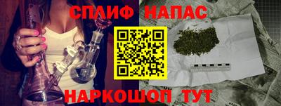 СК Бузулук