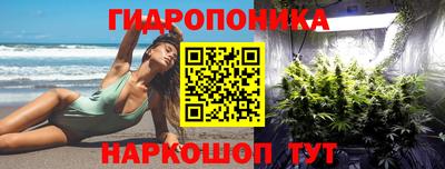 Альфа ПВП Будённовск