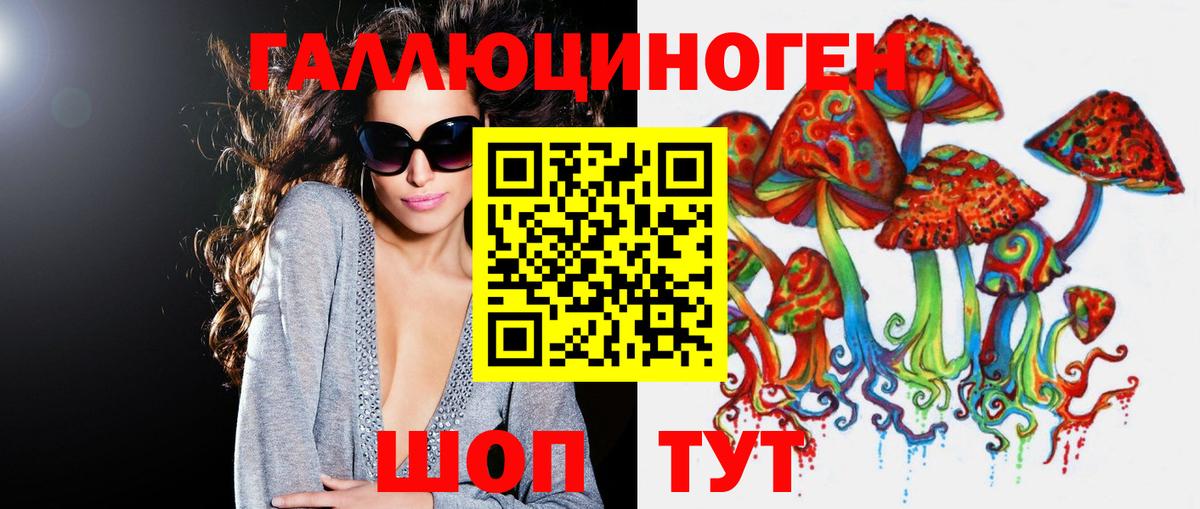 Сафоново  Псилоцибиновые грибы Psilocybine cubensis  Вход с VPN 